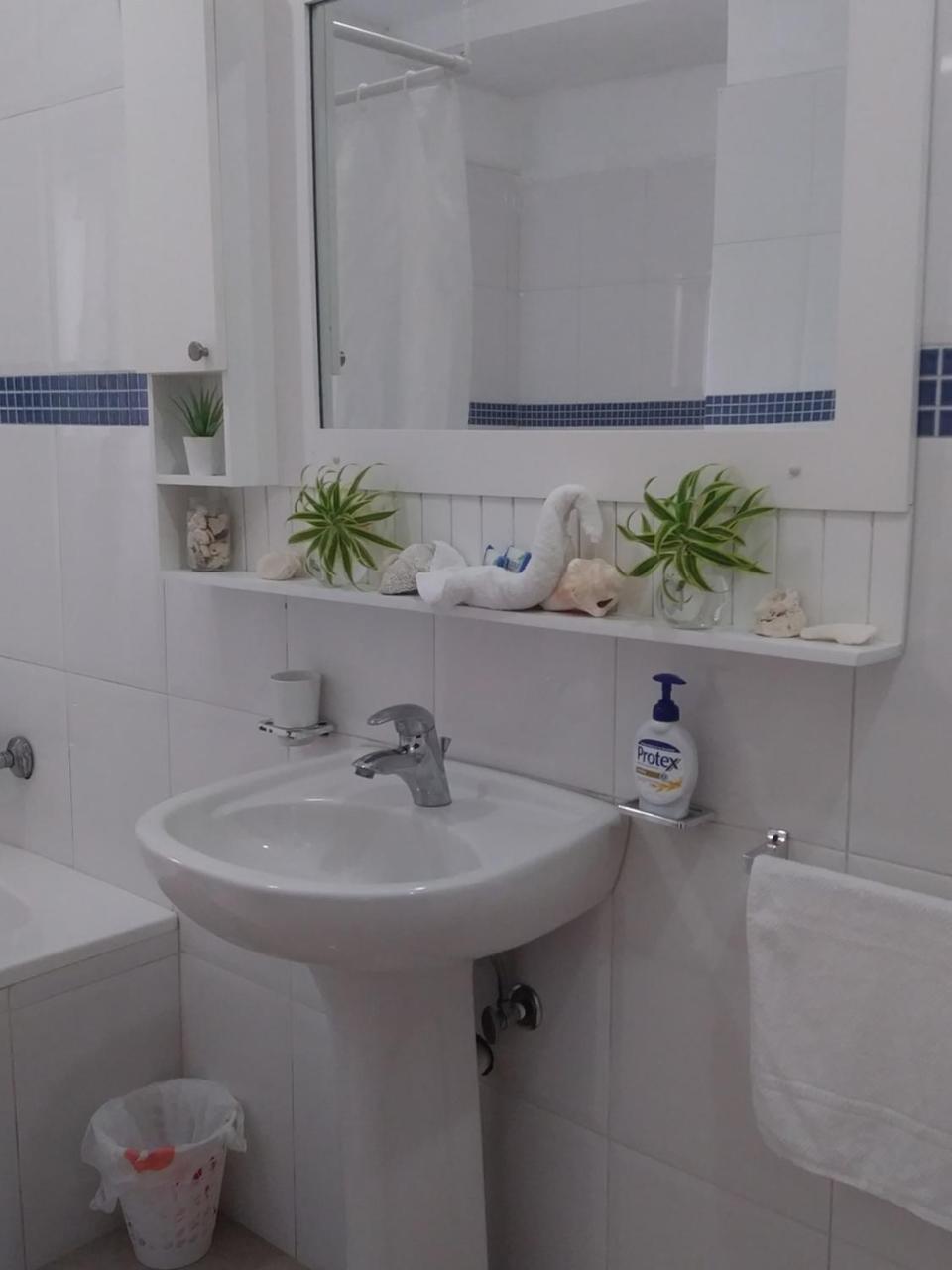 Habitacion En Sol Dominicus Solo Adultos 巴亚希贝 外观 照片